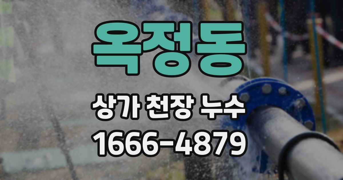 옥정동 상가 천장 누수
