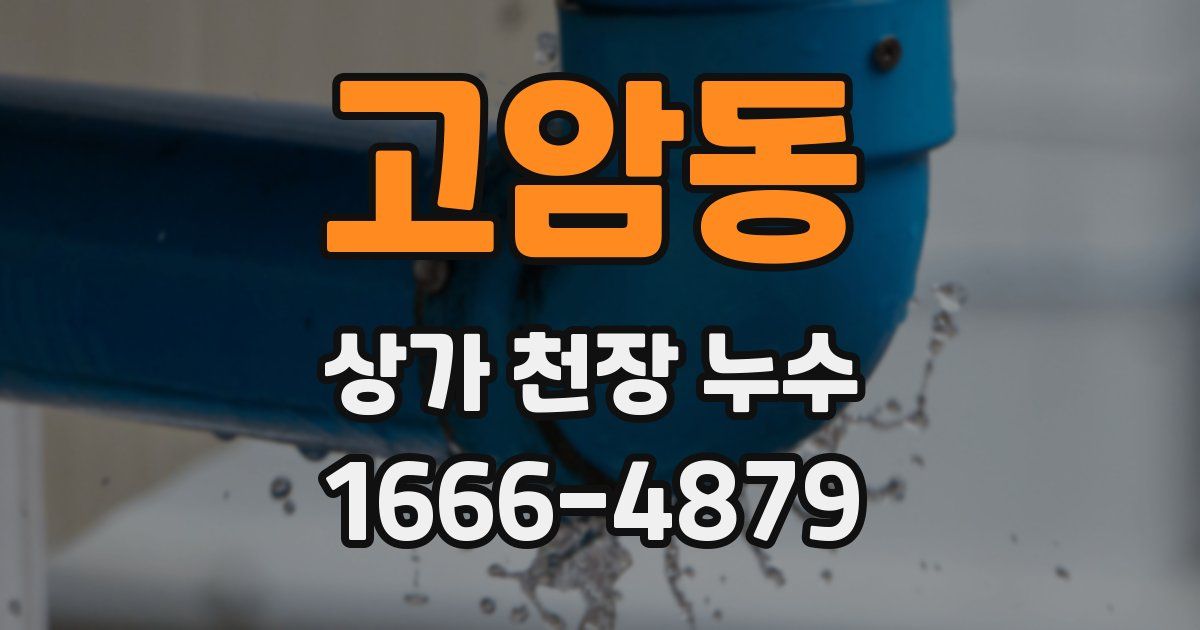 고암동 상가 천장 누수