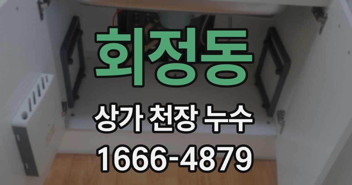 회정동 상가 천장 누수