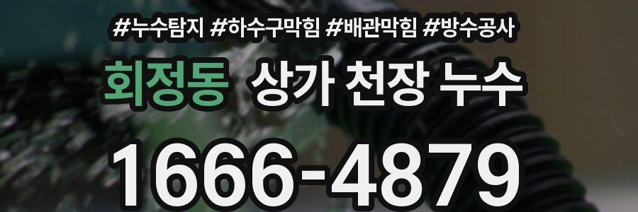 회정동 상가 천장 누수