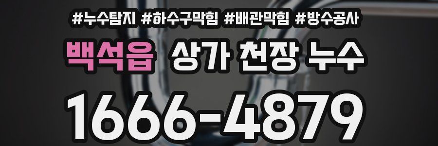 백석읍 상가 천장 누수