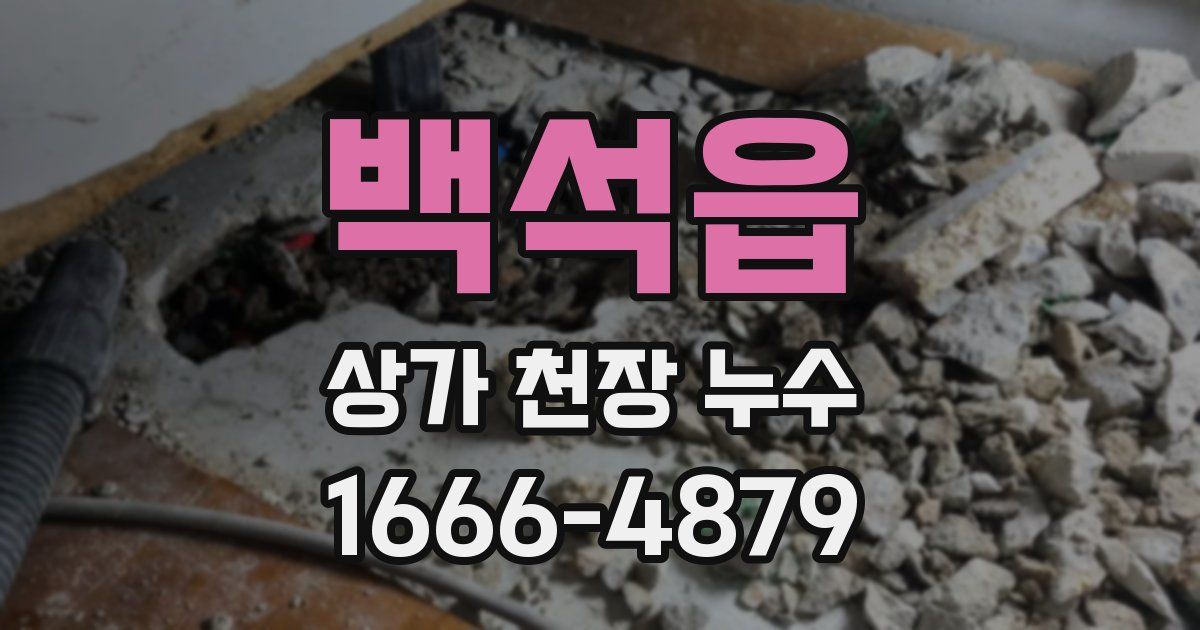 백석읍 상가 천장 누수