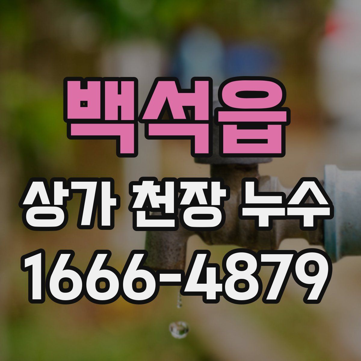 백석읍 상가 천장 누수