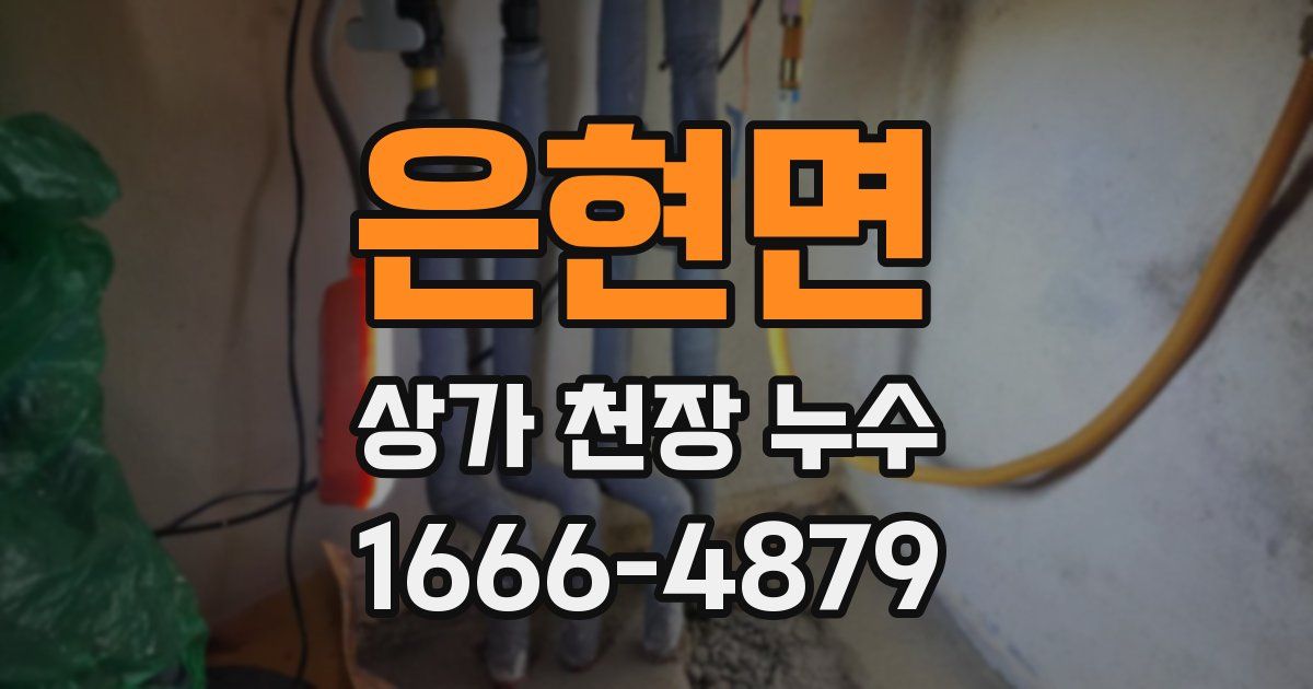 은현면 상가 천장 누수