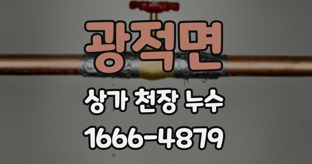 광적면 상가 천장 누수