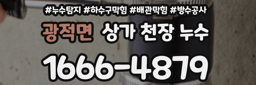 광적면 상가 천장 누수