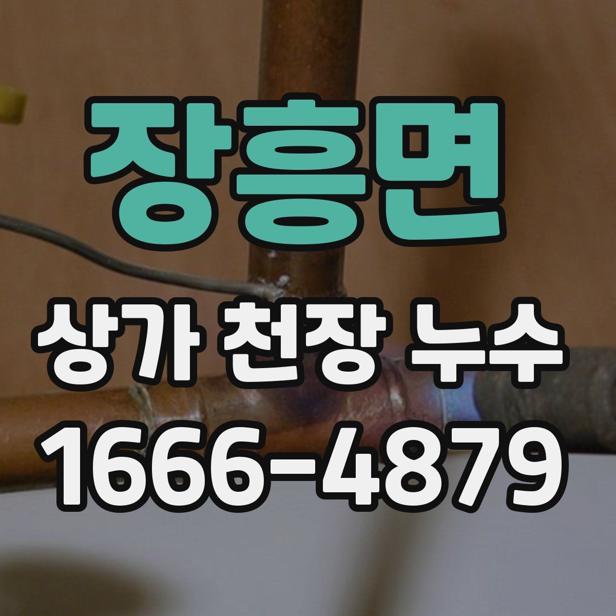 장흥면 상가 천장 누수