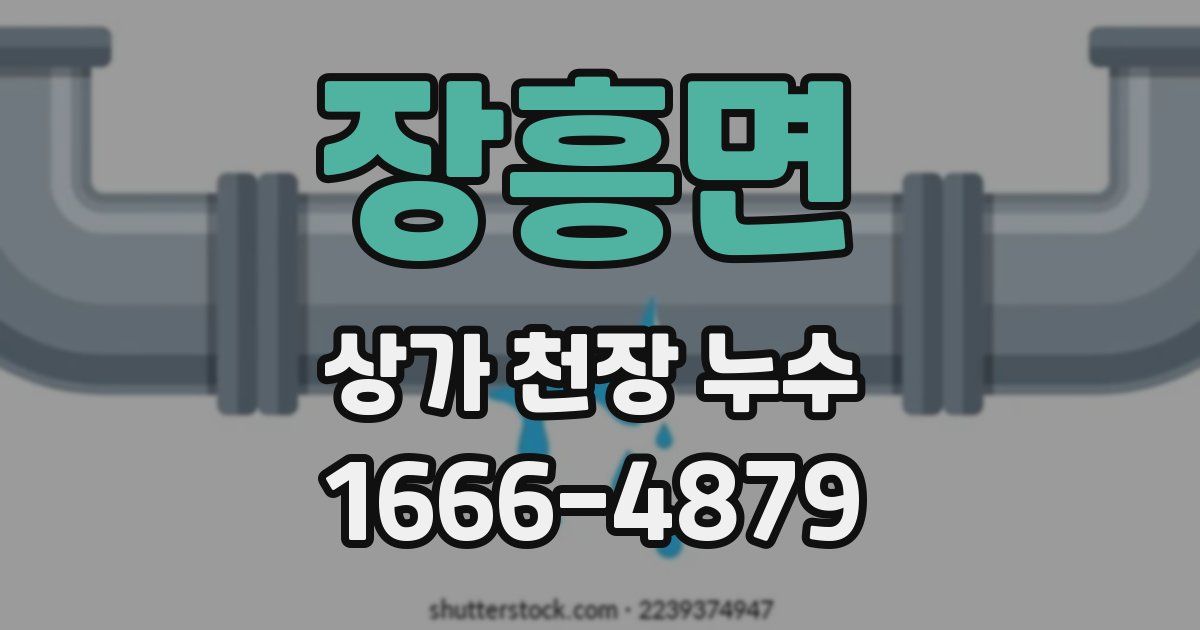 장흥면 상가 천장 누수