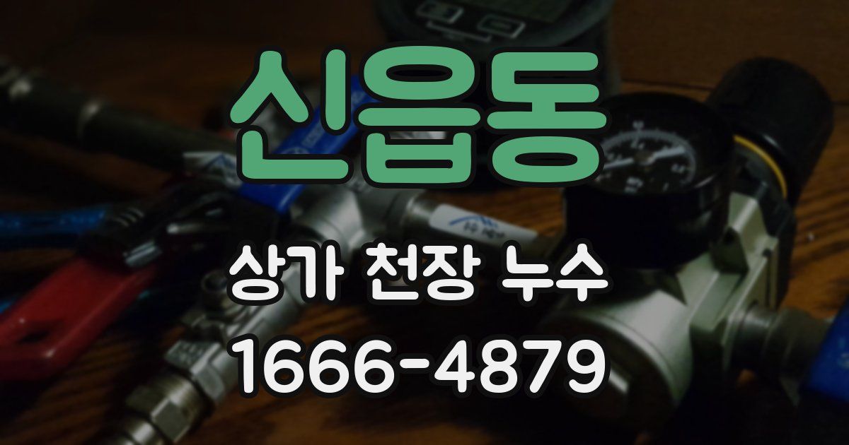 신읍동 상가 천장 누수