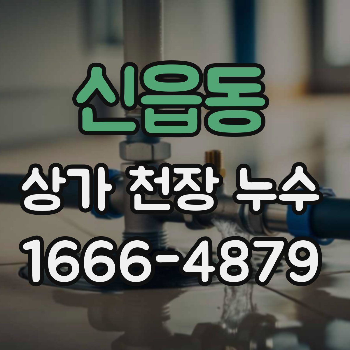 신읍동 상가 천장 누수