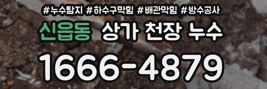 신읍동 상가 천장 누수