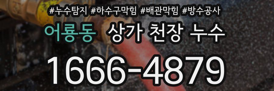 어룡동 상가 천장 누수
