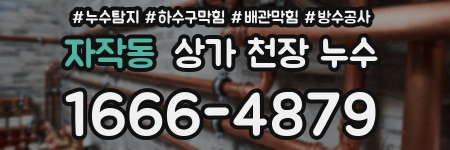 자작동 상가 천장 누수
