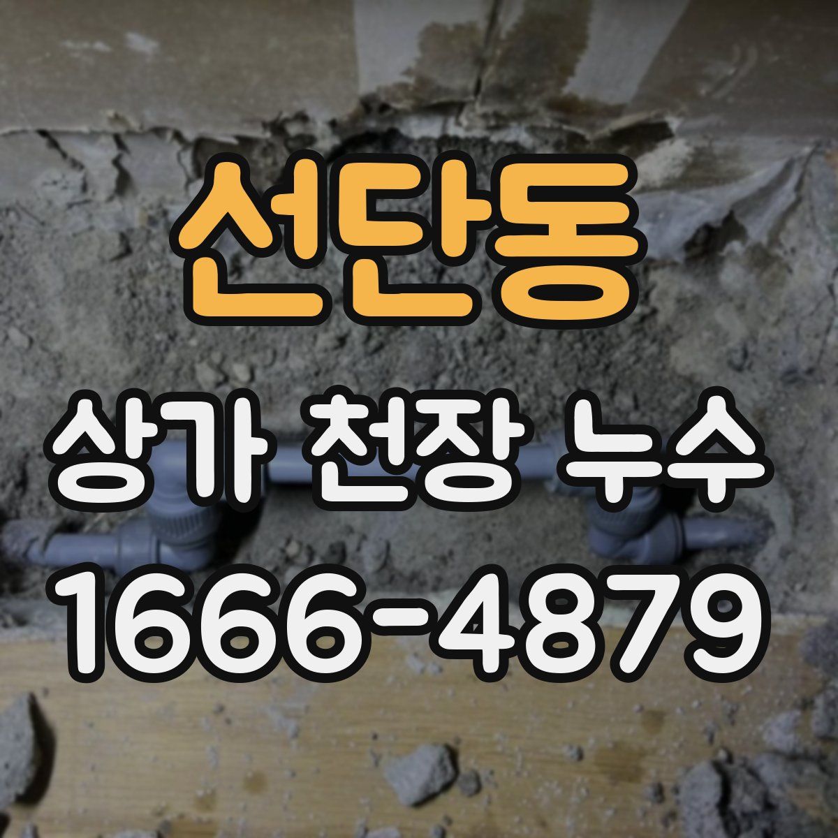 선단동 상가 천장 누수