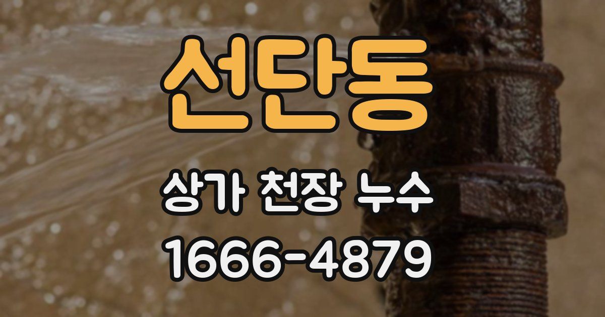 선단동 상가 천장 누수