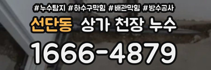 선단동 상가 천장 누수