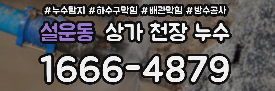 설운동 상가 천장 누수