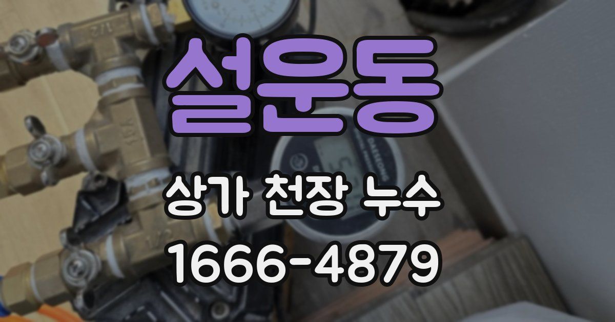 설운동 상가 천장 누수