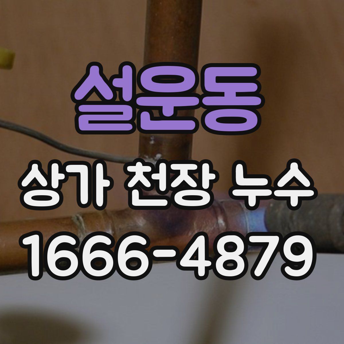 설운동 상가 천장 누수