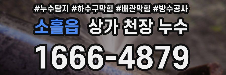 소흘읍 상가 천장 누수