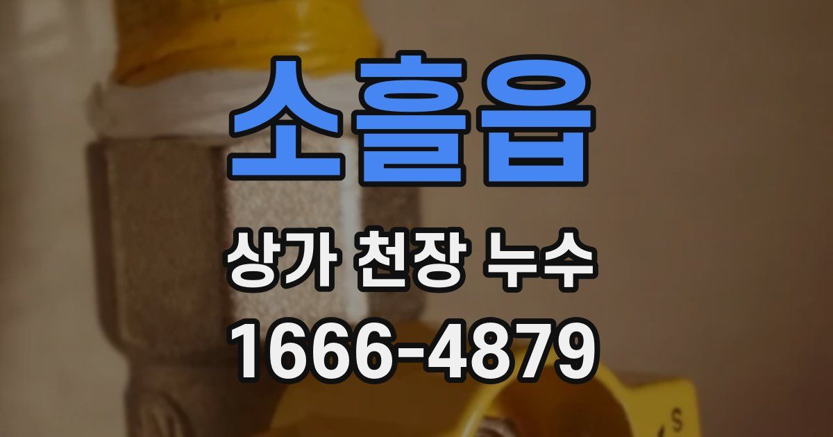소흘읍 상가 천장 누수