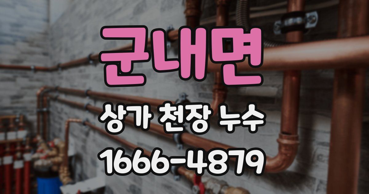 군내면 상가 천장 누수