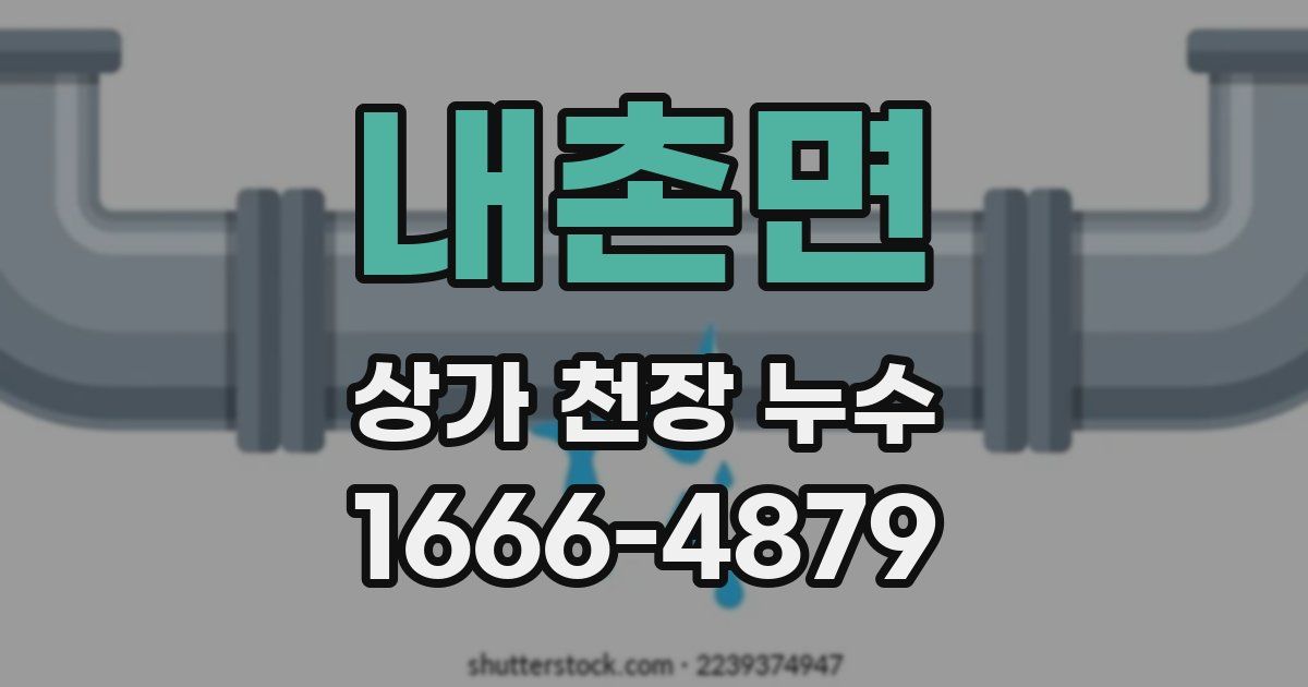 내촌면 상가 천장 누수