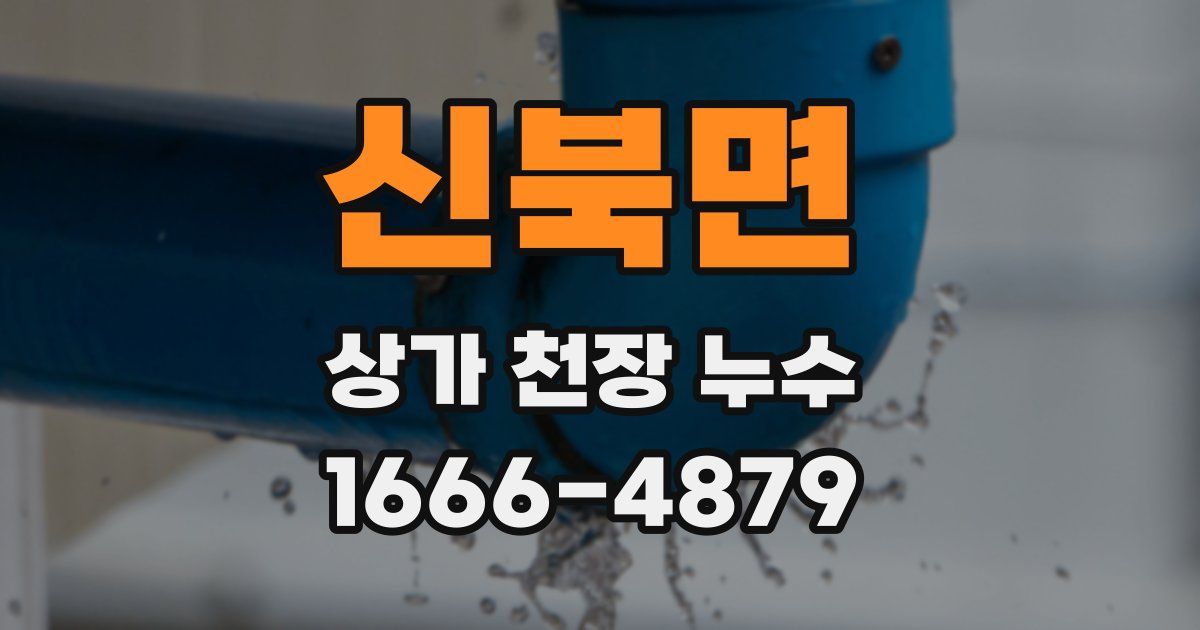 신북면 상가 천장 누수