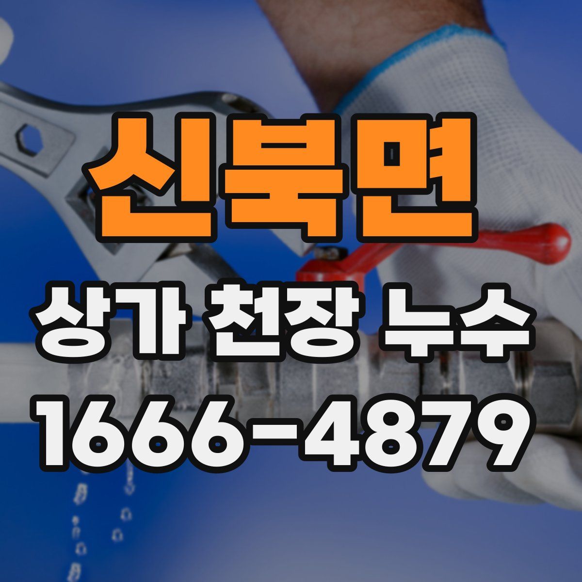 신북면 상가 천장 누수
