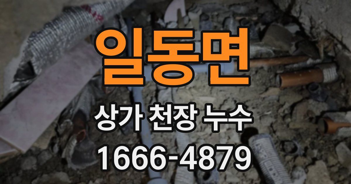 일동면 상가 천장 누수