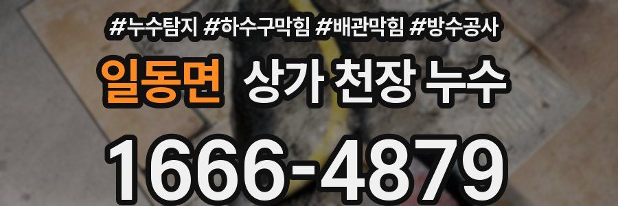일동면 상가 천장 누수