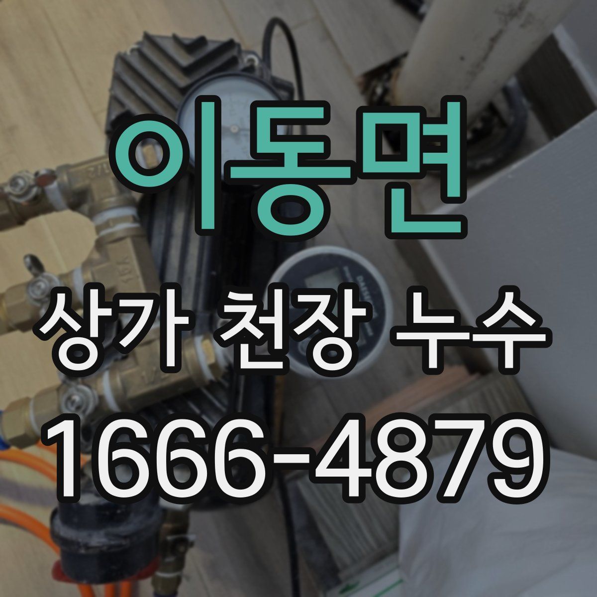 이동면 상가 천장 누수