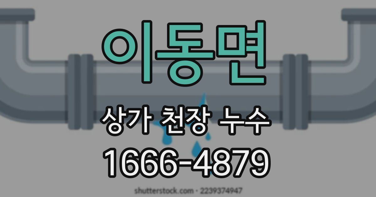 이동면 상가 천장 누수