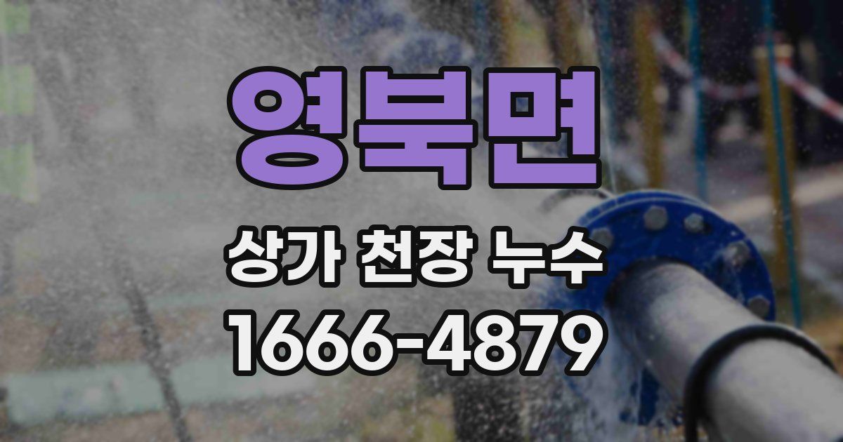 영북면 상가 천장 누수