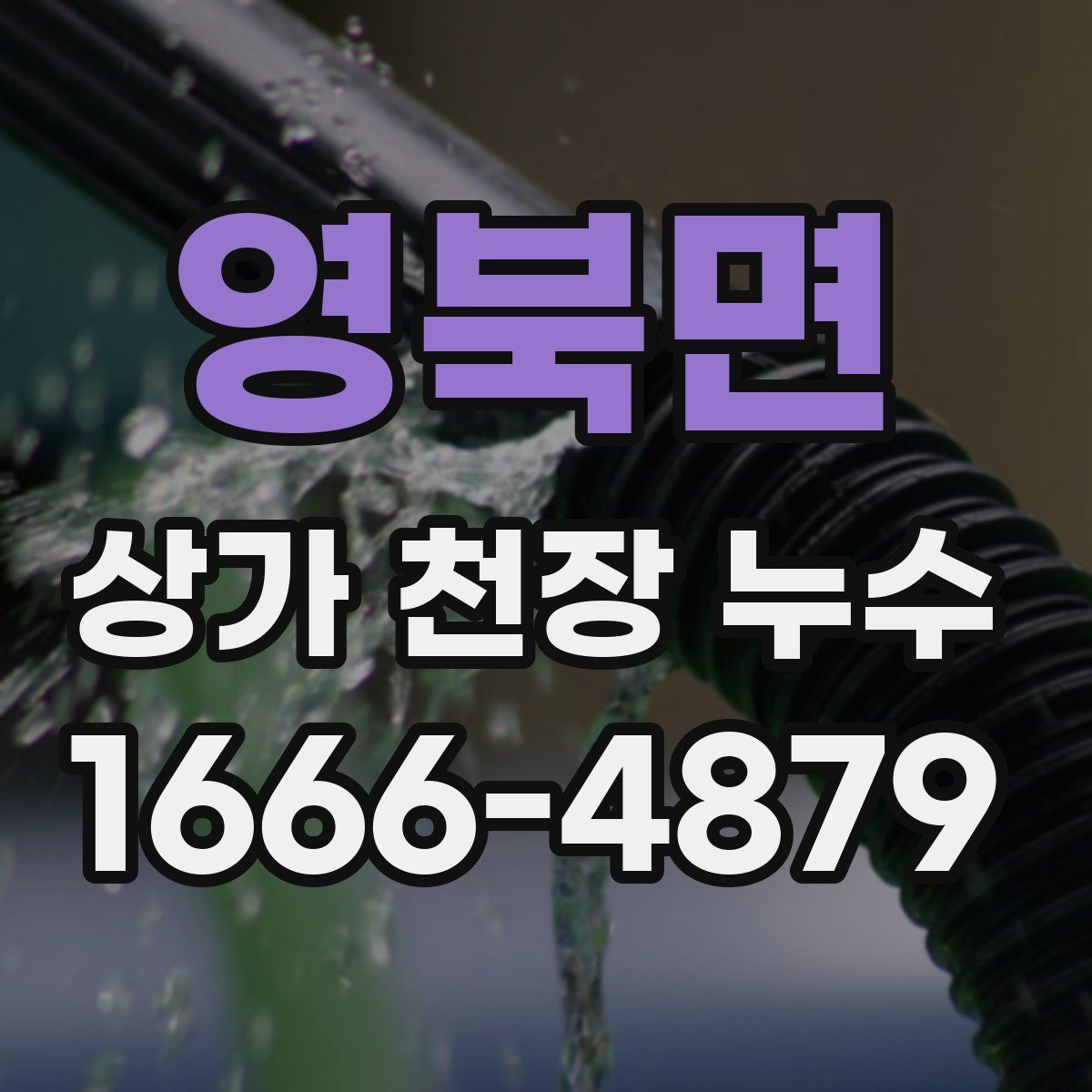 영북면 상가 천장 누수