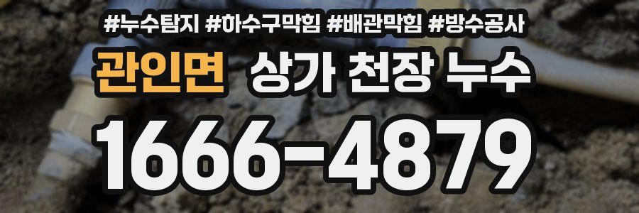 관인면 상가 천장 누수