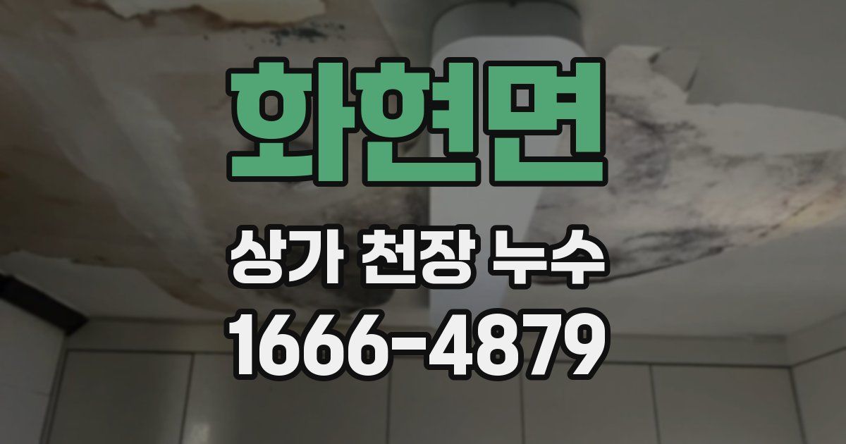 화현면 상가 천장 누수