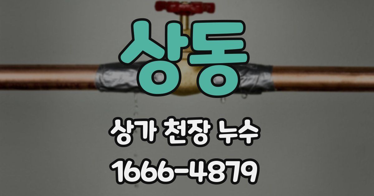 상동 상가 천장 누수
