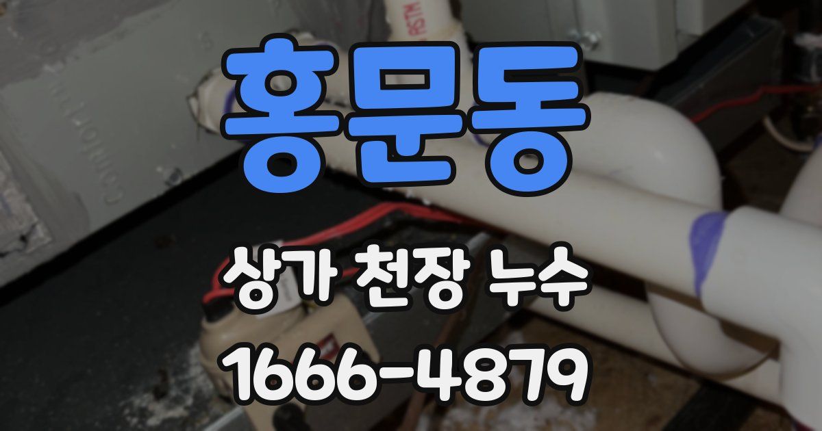 홍문동 상가 천장 누수
