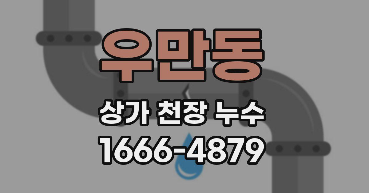 우만동 상가 천장 누수