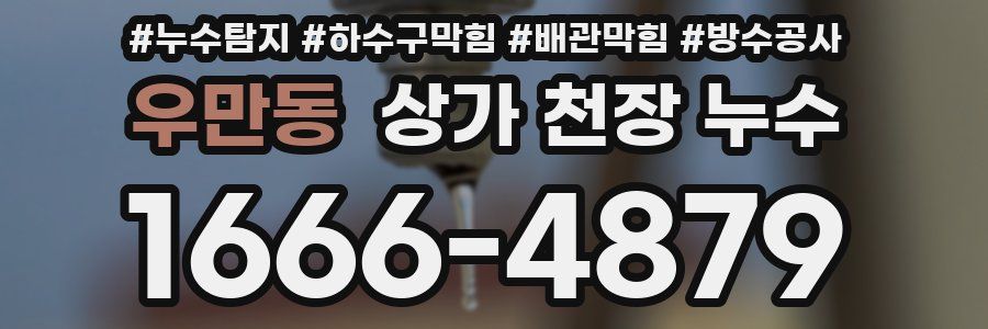 우만동 상가 천장 누수