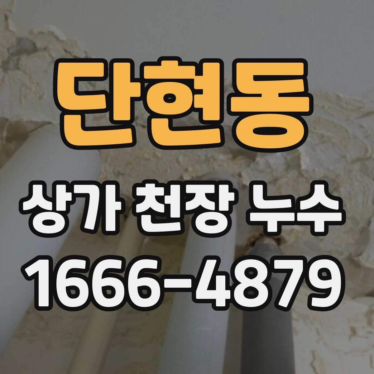 단현동 상가 천장 누수