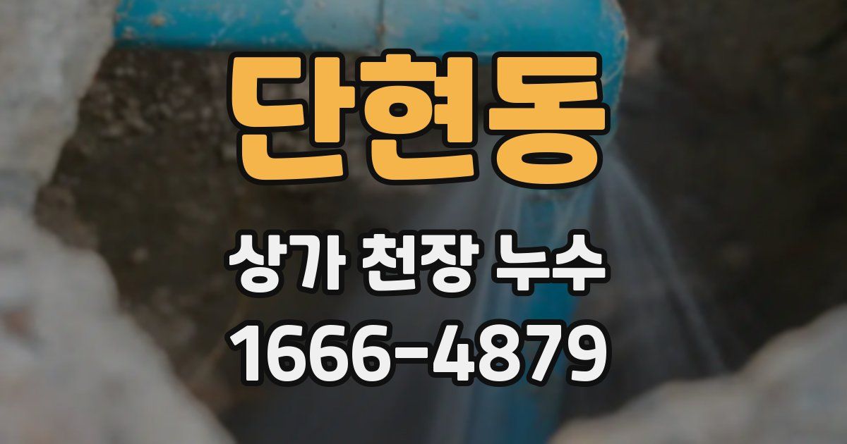 단현동 상가 천장 누수