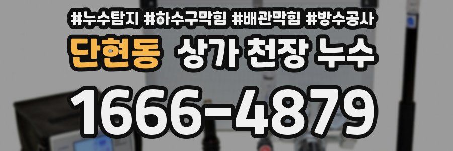 단현동 상가 천장 누수