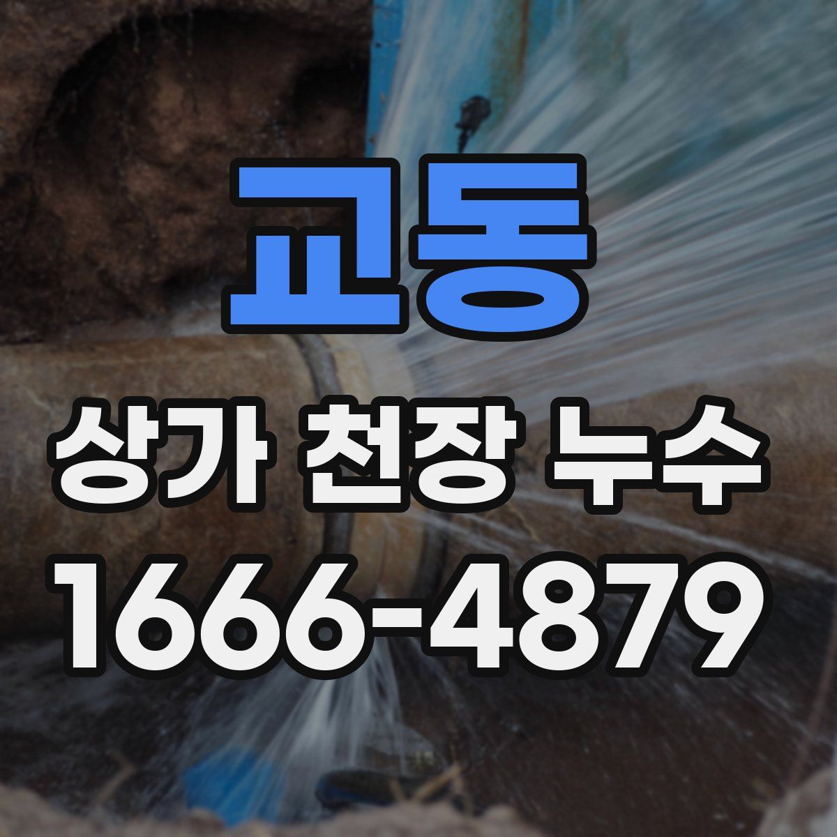 교동 상가 천장 누수
