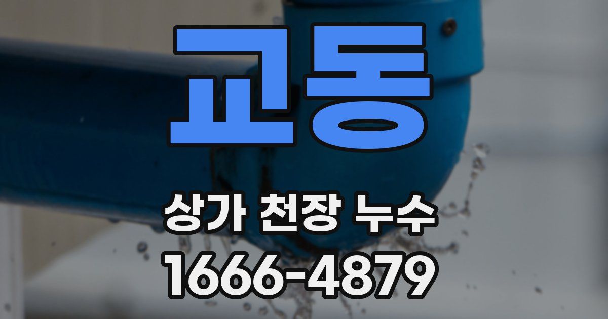 교동 상가 천장 누수
