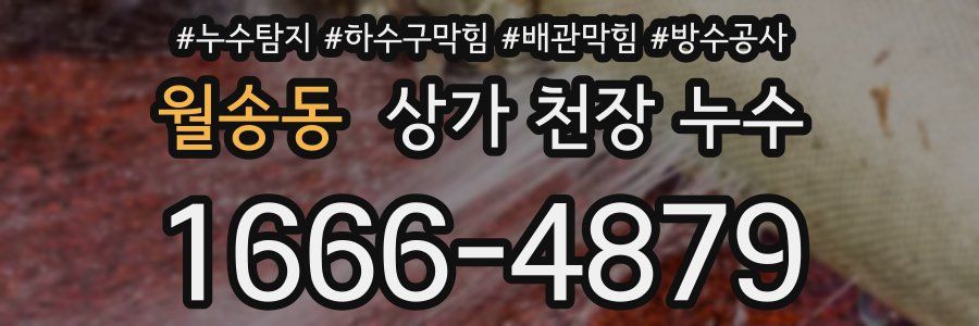 월송동 상가 천장 누수