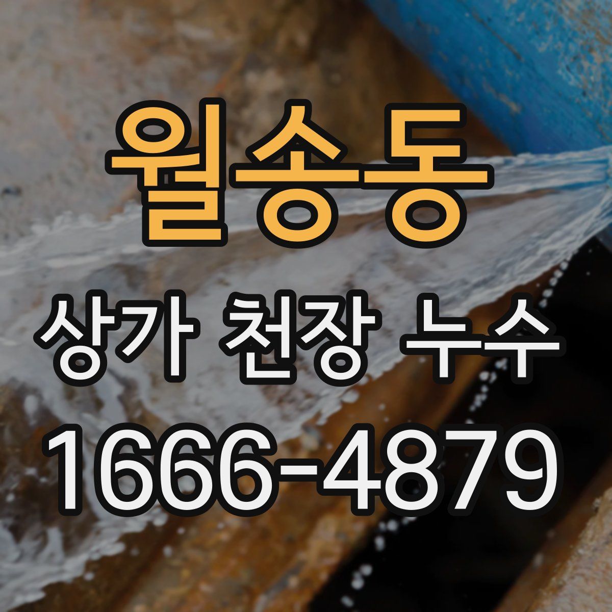 월송동 상가 천장 누수