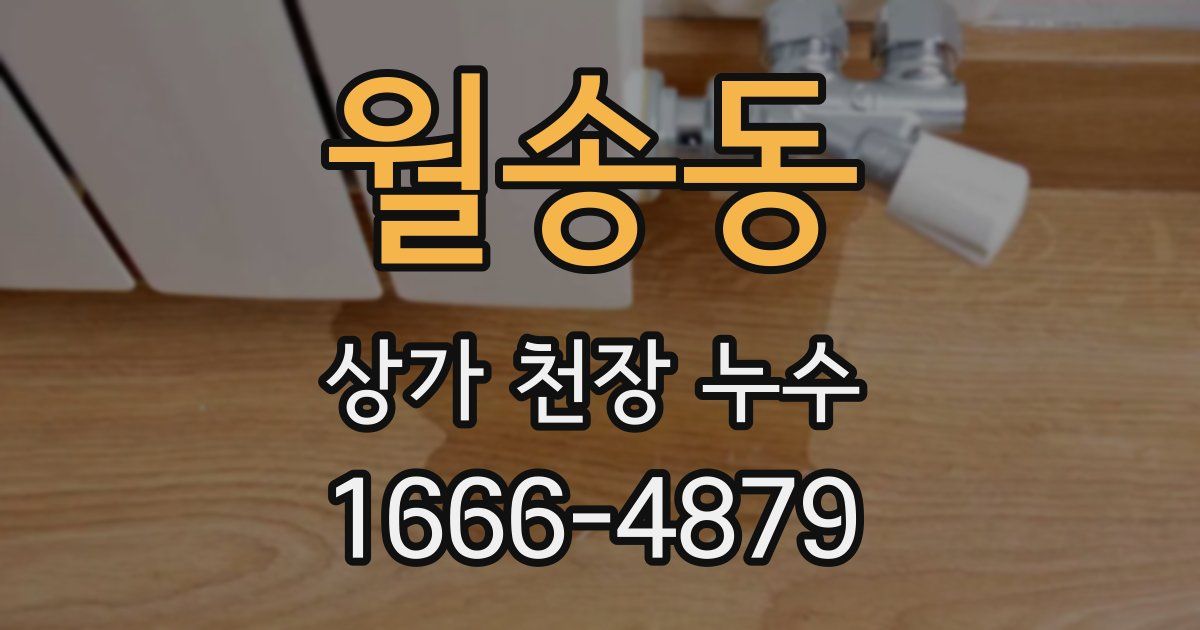 월송동 상가 천장 누수