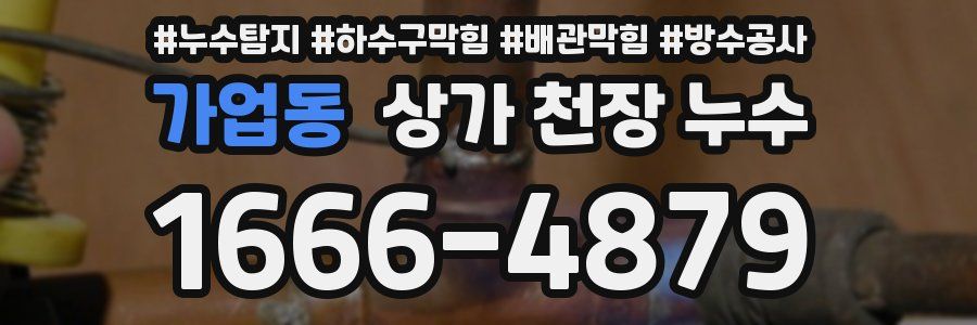 가업동 상가 천장 누수